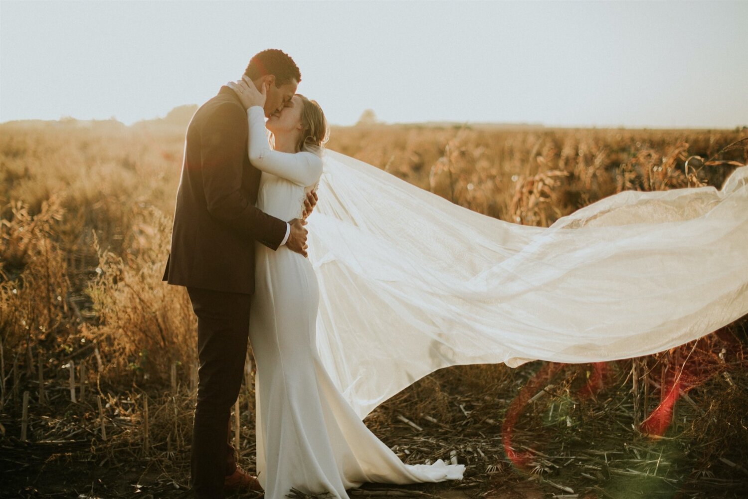  Canton Barn Wedding | Sioux Falls Wedding Photographer Sioux Falls Wedding Photography, South Dakota Wedding Photography, Wedding Photographer Sioux Falls, Wedding Photographer Near Me, Professional Photographer, Couple Photography Canton Barn Weddi